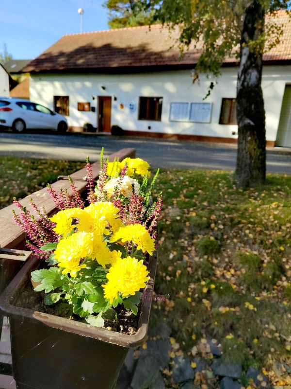 podzim-1.jpg