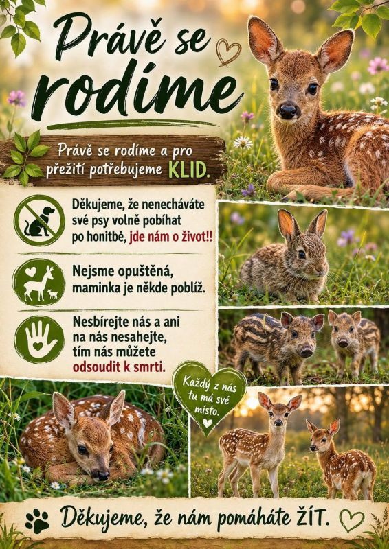prave-rodime.jpg