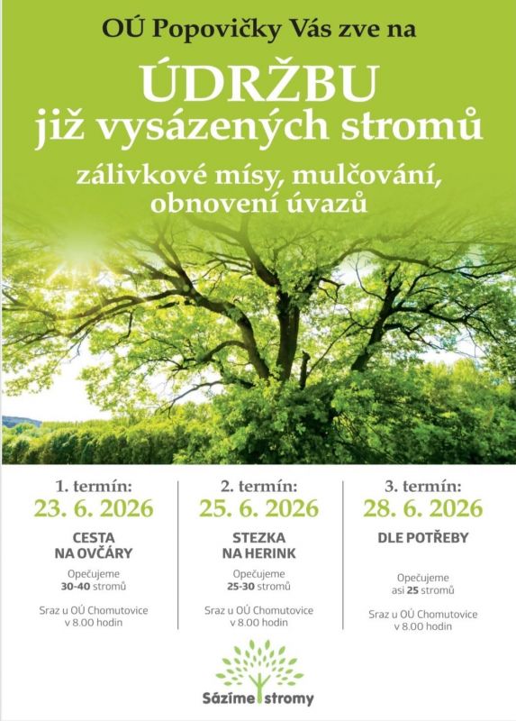 udrzba-stromu.jpg