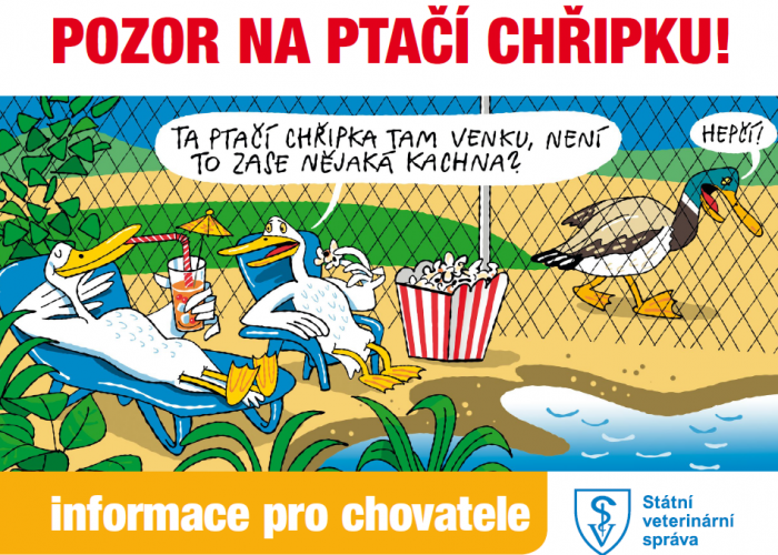 ptaci-chripka.png