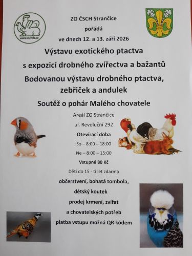 vystava.jpg