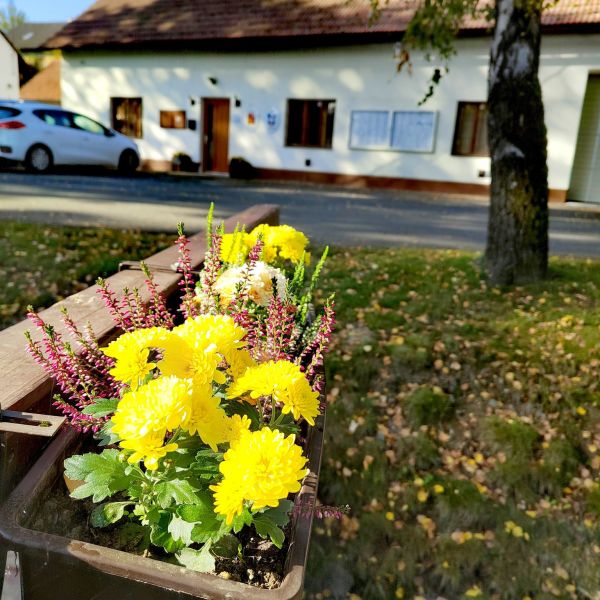 podzim-1.jpg